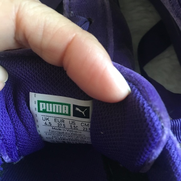 Purple Puma Velvet - Picture 3 of 5